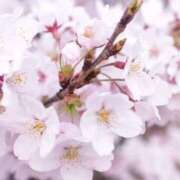 ヒメ日記 2026/03/27 10:24 投稿 めい 京都痴女性感フェチ倶楽部