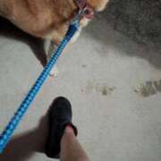 ヒメ日記 2026/04/04 21:44 投稿 めい 京都痴女性感フェチ倶楽部