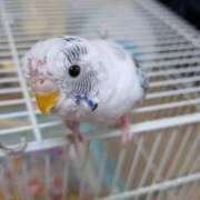 ヒメ日記 2026/04/14 11:44 投稿 めい 京都痴女性感フェチ倶楽部