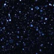 ヒメ日記 2025/11/21 23:31 投稿 あき ちゃんこ長野塩尻北IC店