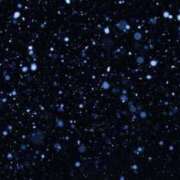 ヒメ日記 2025/11/21 23:15 投稿 あき ちゃんこ長野塩尻北IC店