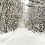 ヒメ日記 2025/12/16 06:51 投稿 あき ちゃんこ長野塩尻北IC店