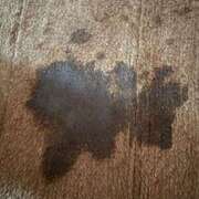 ヒメ日記 2025/03/26 16:47 投稿 みずき【イチャラブ小悪魔女子】 STELLA NEXT－ステラネクスト－