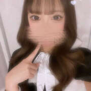 ヒメ日記 2024/12/29 01:55 投稿 ねこ 神田はっち