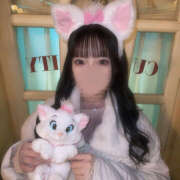 ヒメ日記 2025/03/08 20:14 投稿 ねこ 神田はっち