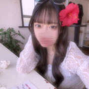 ヒメ日記 2025/04/17 21:16 投稿 ねこ 神田はっち