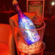 ヒメ日記 2025/06/20 22:02 投稿 ねこ 神田はっち