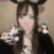 ヒメ日記 2025/09/17 00:38 投稿 ねこ 神田はっち