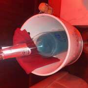 ヒメ日記 2025/10/08 02:09 投稿 ねこ 神田はっち