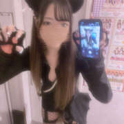 ヒメ日記 2025/11/01 00:35 投稿 ねこ 神田はっち