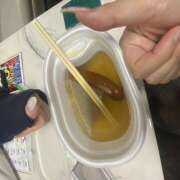 ヒメ日記 2025/11/15 01:35 投稿 ねこ 神田はっち