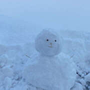 ヒメ日記 2025/12/09 00:35 投稿 ねこ 神田はっち