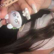 ヒメ日記 2025/12/22 00:31 投稿 ねこ 神田はっち