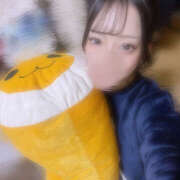 ねこ あけおめ〜🐴✨ 神田はっち