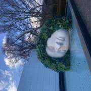 ヒメ日記 2026/01/16 02:16 投稿 ねこ 神田はっち