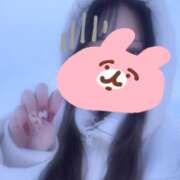 ヒメ日記 2026/01/28 21:52 投稿 ねこ 神田はっち