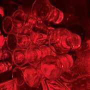 ヒメ日記 2026/02/07 22:39 投稿 ねこ 神田はっち