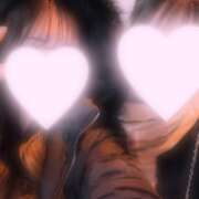 ヒメ日記 2026/02/10 19:36 投稿 ねこ 神田はっち