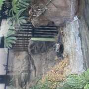 ヒメ日記 2026/02/14 23:50 投稿 ねこ 神田はっち