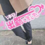 ヒメ日記 2026/04/04 14:02 投稿 いおり ミラー