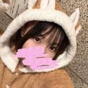 ヒメ日記 2024/12/23 06:40 投稿 すずめ 11チャンネル