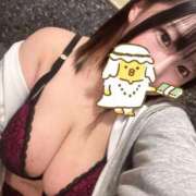 ヒメ日記 2025/05/03 06:42 投稿 すずめ 11チャンネル