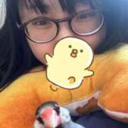 ヒメ日記 2025/06/07 22:05 投稿 すずめ 11チャンネル