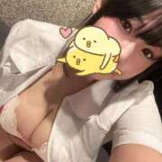 ヒメ日記 2025/06/19 06:43 投稿 すずめ 11チャンネル