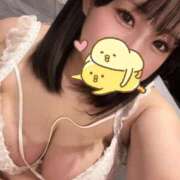 ヒメ日記 2025/06/21 06:45 投稿 すずめ 11チャンネル