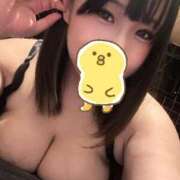 ヒメ日記 2025/06/29 06:45 投稿 すずめ 11チャンネル