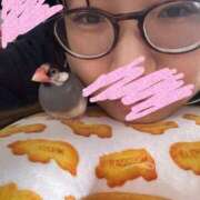 ヒメ日記 2025/10/24 20:45 投稿 すずめ 11チャンネル