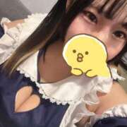 ヒメ日記 2025/12/28 06:43 投稿 すずめ 11チャンネル