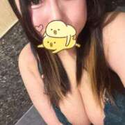 ヒメ日記 2026/02/15 06:56 投稿 すずめ 11チャンネル