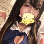 ヒメ日記 2026/08/16 17:04 投稿 すずめ 11チャンネル
