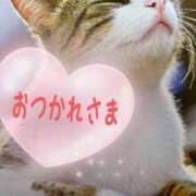 ヒメ日記 2025/08/27 11:11 投稿 三上ちはる ミセス・レヴォアール～再会～