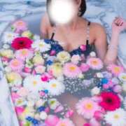 ヒメ日記 2025/04/04 18:20 投稿 めい THE ESUTE 五反田店