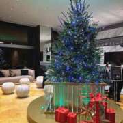 めい 完売御礼🌹次回12/26(金) THE ESUTE 五反田店