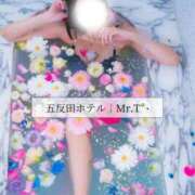 ヒメ日記 2026/09/18 00:40 投稿 めい THE ESUTE 五反田店