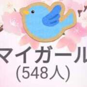 ヒメ日記 2024/03/28 12:23 投稿 狩生（かりゅう） 熟女の風俗最終章 名古屋店