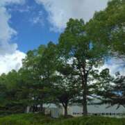 ヒメ日記 2025/08/02 07:23 投稿 狩生（かりゅう） 熟女の風俗最終章 名古屋店