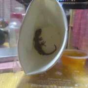 ヒメ日記 2025/09/28 21:03 投稿 狩生（かりゅう） 熟女の風俗最終章 名古屋店