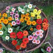 ヒメ日記 2025/06/17 02:27 投稿 芦田和恵 五十路マダム 博多店