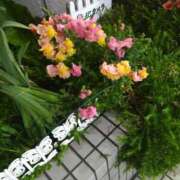 ヒメ日記 2025/07/11 12:08 投稿 芦田和恵 五十路マダム 博多店