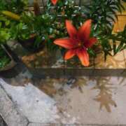 ヒメ日記 2025/07/11 20:47 投稿 芦田和恵 五十路マダム 博多店