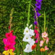 ヒメ日記 2025/08/02 16:07 投稿 芦田和恵 五十路マダム 博多店