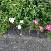 ヒメ日記 2025/09/10 21:17 投稿 芦田和恵 五十路マダム 博多店