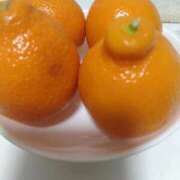 ヒメ日記 2025/12/13 02:09 投稿 芦田和恵 五十路マダム 博多店