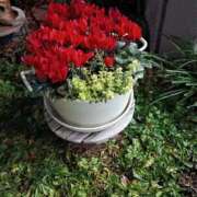 ヒメ日記 2026/01/04 17:48 投稿 芦田和恵 五十路マダム 博多店