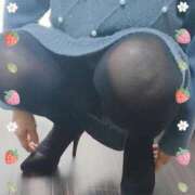 ヒメ日記 2026/03/27 14:57 投稿 芦田和恵 五十路マダム 博多店