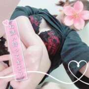 ヒメ日記 2025/04/26 14:27 投稿 ゆかり ダンシングおっぱいTEAM爆